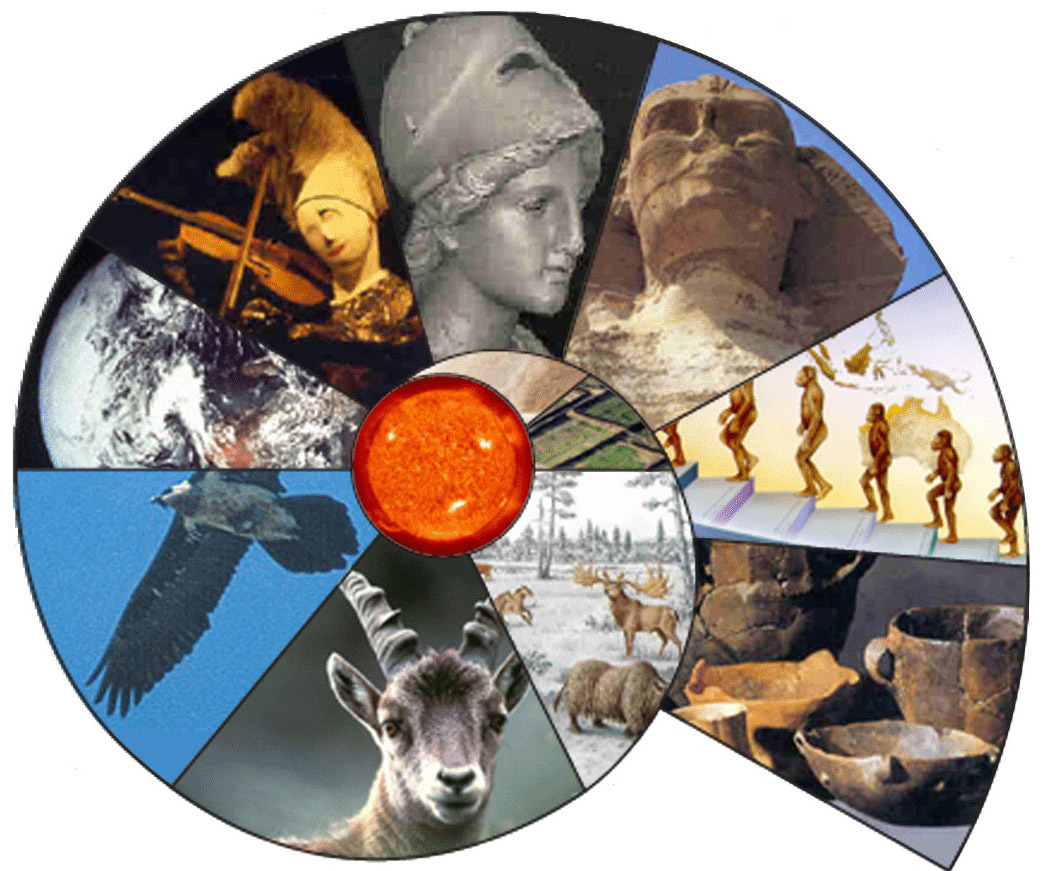 Scienze E Tecnologie Per La Conservazione Dei Beni Culturali